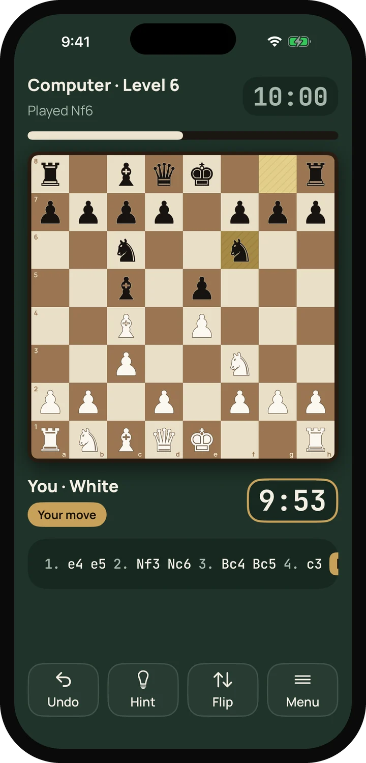 Solo game against Computer Level 6 on an iPhone, with Undo, Hint, Flip and Menu buttons below the board.